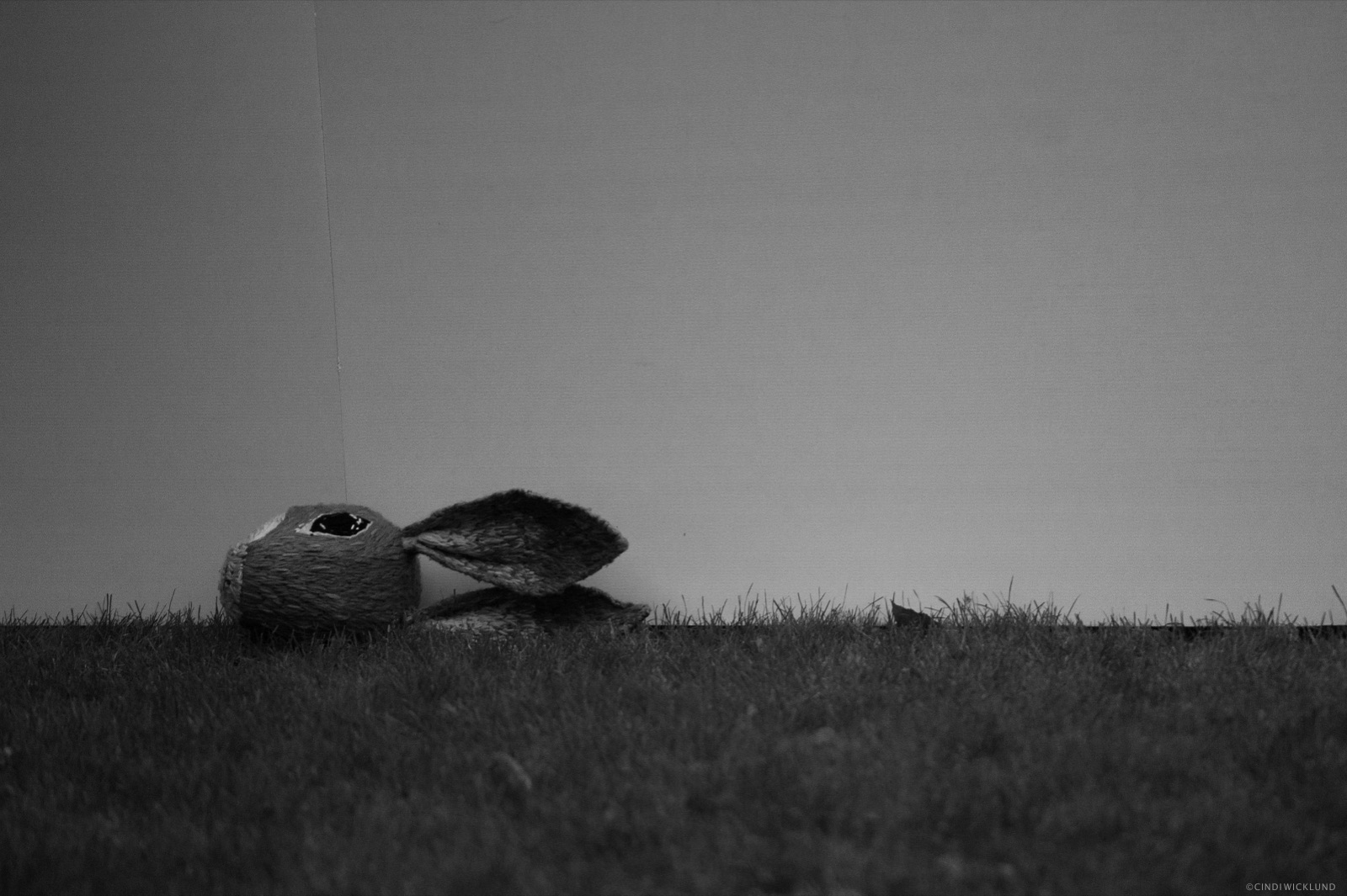 let me leave so that you may continue - IMG_6999